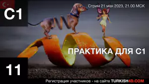 ПРАКТИКА ДЛЯ С1